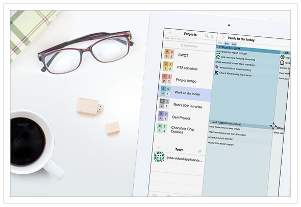 iPad project management app