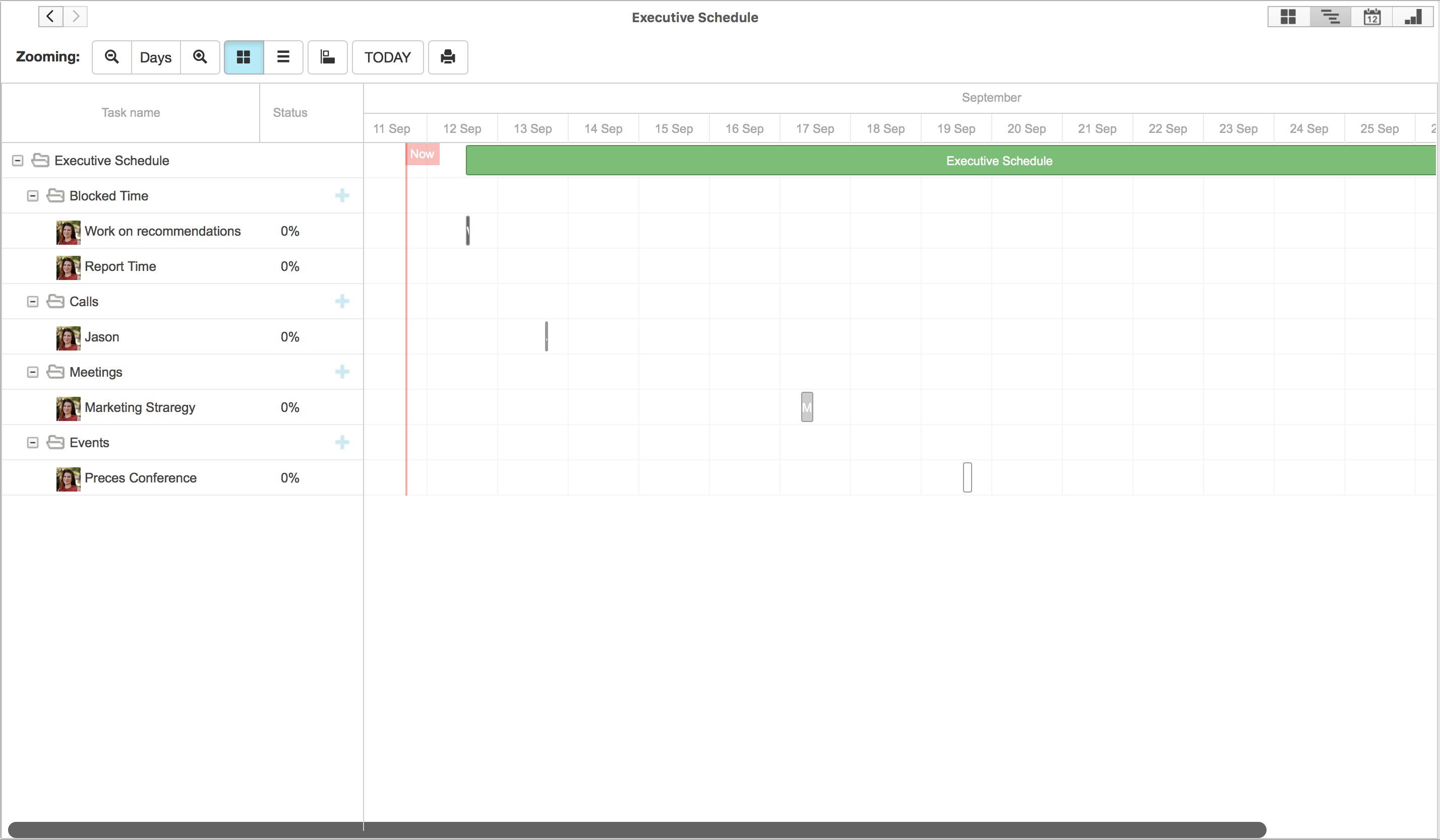 Gantt chart to organize executive schedules